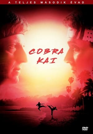 Cobra Kai 2. évad (2019-04-24) poszter