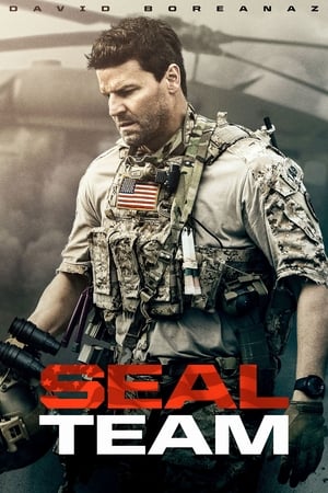 SEAL Team poszter