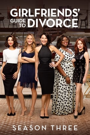 Girlfriends' Guide to Divorce 3. évad (2017-01-11) poszter