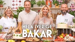 Hela Sverige bakar kép