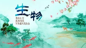 绿水青山看中国 2. évad Ep.3 3. epizód