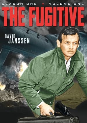 The Fugitive 1. évad (1963-09-17) poszter