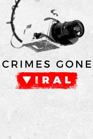 Crimes Gone Viral poszter