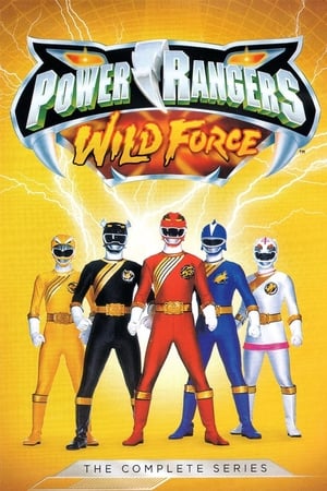 Power Rangers - Misztikus erő 10. évad (2002-02-09) poszter