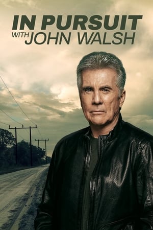 In Pursuit with John Walsh 1. évad (2019-01-16) poszter