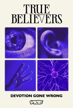 True Believers poszter