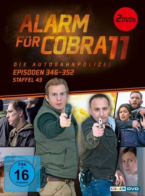 Cobra 11 45. évad (2019-03-21) poszter