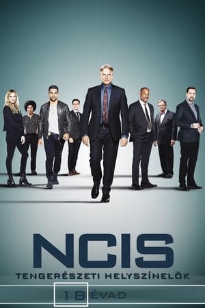 NCIS 18. évad (2020-11-17) poszter