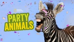 Party Animals kép