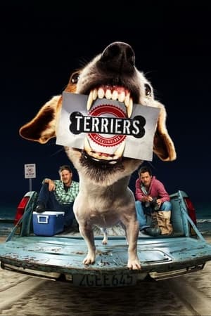 Terriers poszter