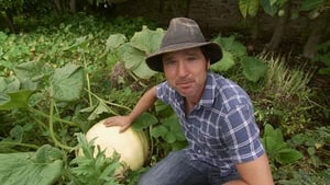 Gardening Australia 28. évad Ep.2 2. epizód