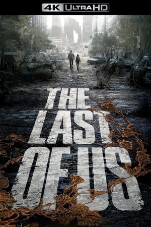 The Last of Us poszter