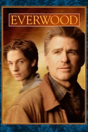 Everwood poszter