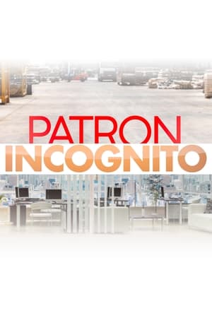 Patron incognito poszter