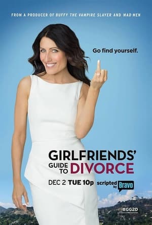 Girlfriends' Guide to Divorce poszter