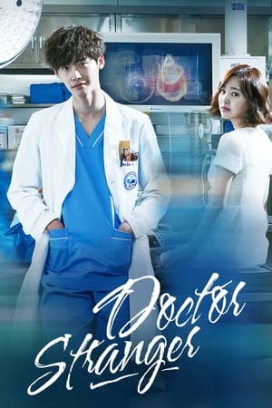 닥터 이방인 poszter