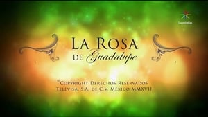 La rosa de Guadalupe kép