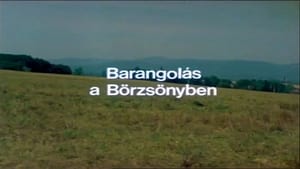 Másfélmillió lépés Magyarországon 1. évad Ep.6 Barangolás a Börzsönyben