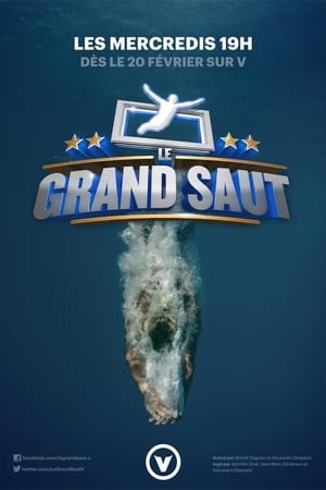 Le grand saut poszter