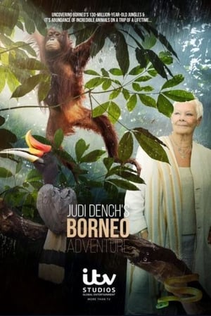 Judi Dench's Wild Borneo Adventure poszter