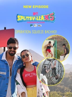 MTV Splitsvilla poszter