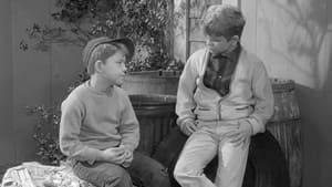 The Andy Griffith Show 3. évad Ep.21 21. epizód