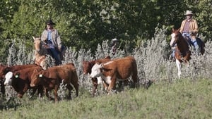 Heartland 6. évad Ep.3 3. epizód