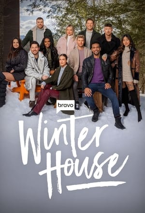 Winter House poszter