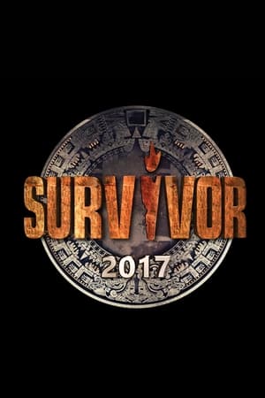 Survivor poszter