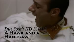 Due South 1. évad Ep.12 12. epizód