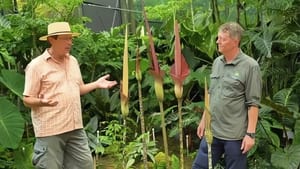 Gardening Australia 33. évad Ep.11 11. epizód