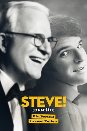 STEVE! (martin) dokumentumfilm 2 részben poszter