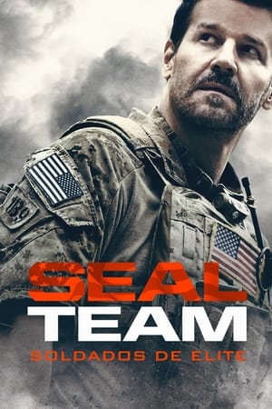 SEAL Team poszter