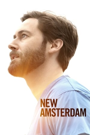 New Amsterdam - Vészhelyzet New Yorkban 3. évad (2021-03-02) poszter