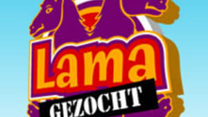 Lama Gezocht kép