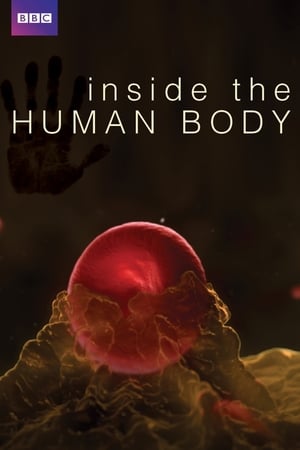 Inside the Human Body 1. évad (2011-05-05) poszter