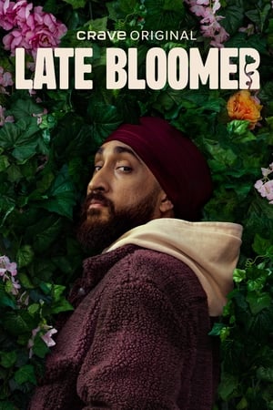 Late Bloomer 1. évad (2024-01-18) poszter