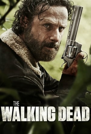 The Walking Dead poszter