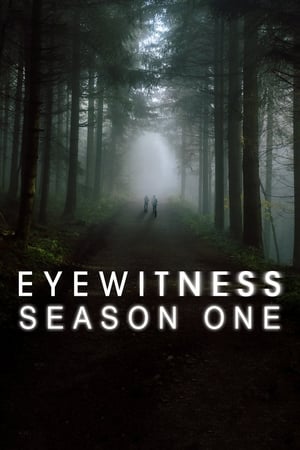 Eyewitness 1. évad (2016-10-16) poszter