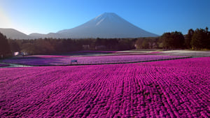 Le Japon vu du ciel kép