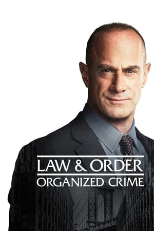 Law & Order: Organized Crime poszter