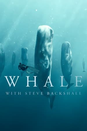 Whale with Steve Backshall poszter