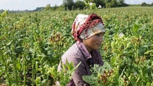 Abenteuer Türkei kép