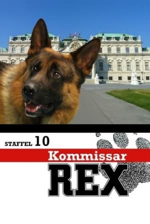 Rex felügyelő 10. évad (2004-09-28) poszter