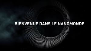 Bienvenue dans le nanomonde kép