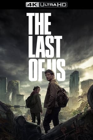 The Last of Us poszter