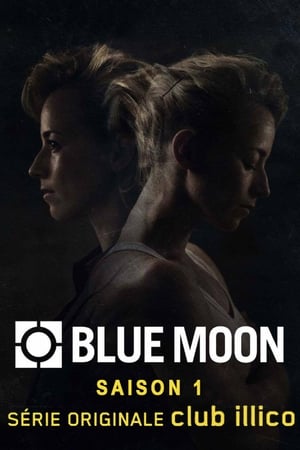 Blue Moon 1. évad (2016-01-25) poszter