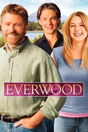 Everwood poszter