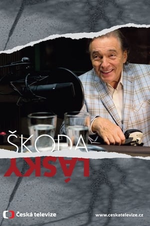 Škoda lásky