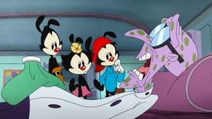 Animaniacs 1. évad Ep.40 40. epizód